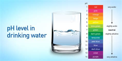 drinking water ph levels